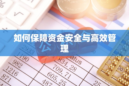 宁安如何保障资金安全与高效管理
