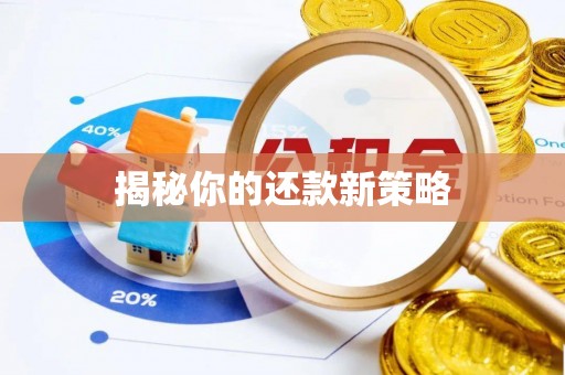 宁安揭秘你的还款新策略