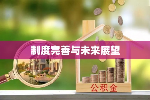 宁安制度完善与未来展望