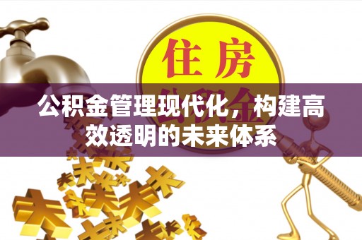宁安公积金管理现代化，构建高效透明的未来体系