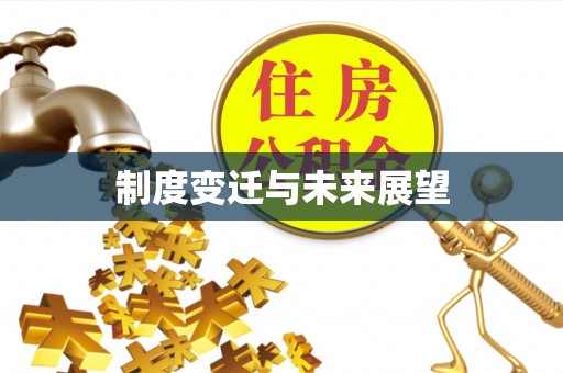 宁安制度变迁与未来展望