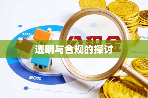 宁安透明与合规的探讨