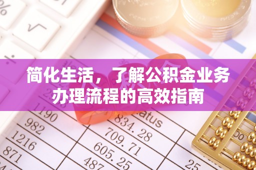 宁安简化生活，了解公积金业务办理流程的高效指南