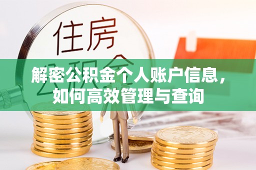 宁安解密公积金个人账户信息，如何高效管理与查询
