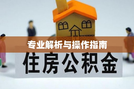 宁安专业解析与操作指南