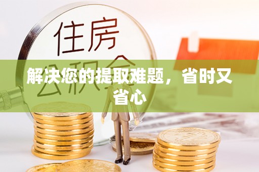 宁安解决您的提取难题，省时又省心