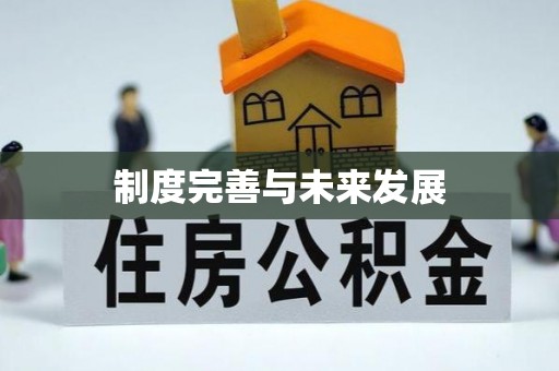 宁安制度完善与未来发展