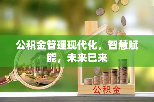 宁安公积金管理现代化，智慧赋能，未来已来