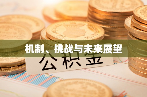 宁安机制、挑战与未来展望